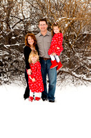 The Brekke Family 2011